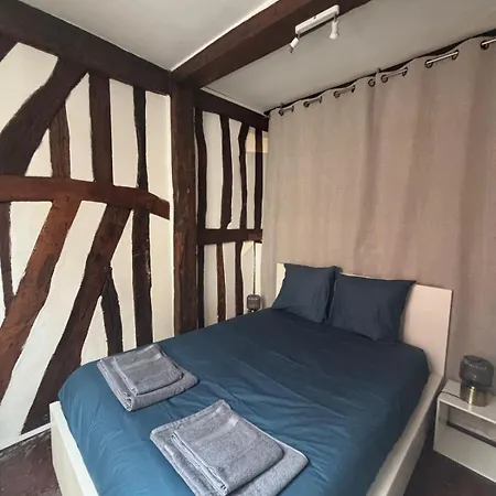 Διαμέρισμα L'ecrin Beauvoisine - Hyper Center Ρουέν