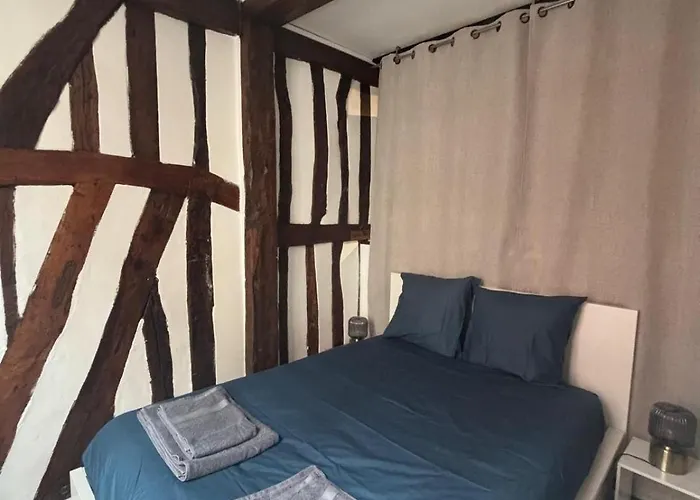 Διαμέρισμα L'ecrin Beauvoisine - Hyper Center Ρουέν